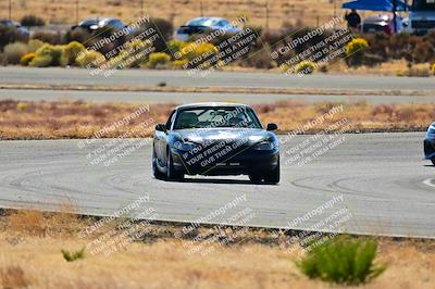 media/Nov-16-2024-Extreme Speed (Sat) [[6587d07cc4]]/Gold Group/Session 2 (Turns 3 and 5)/